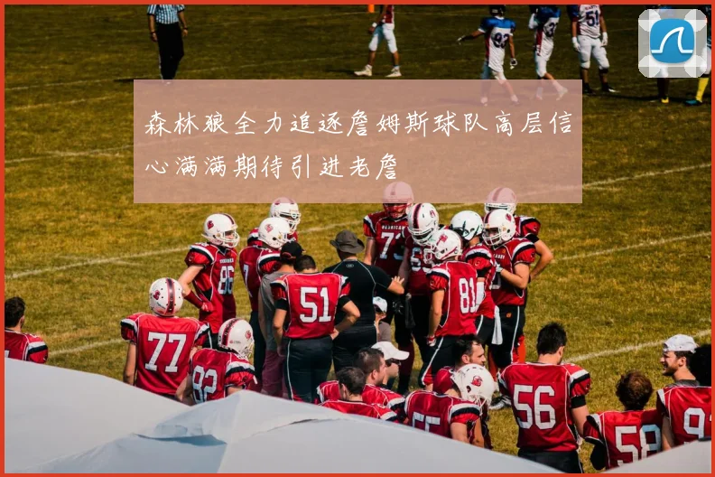 森林狼全力追逐詹姆斯球队高层信心满满期待引进老詹