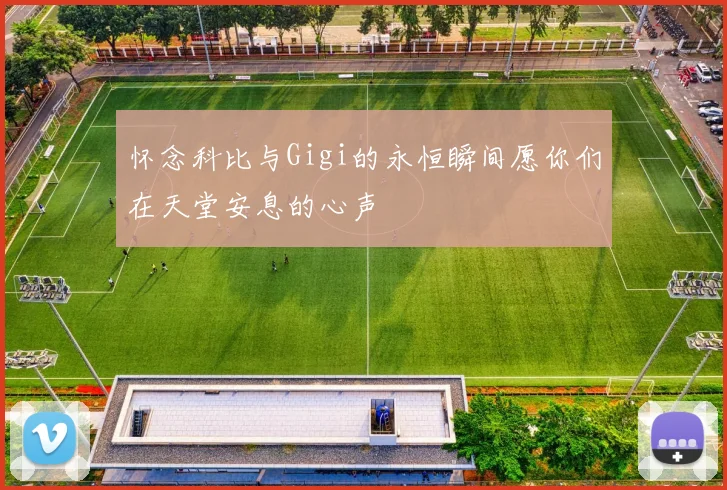 怀念科比与Gigi的永恒瞬间愿你们在天堂安息的心声